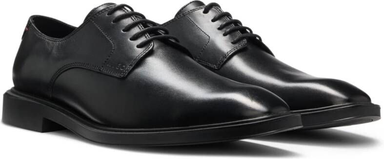 Hugo Gryff Derb Schoen