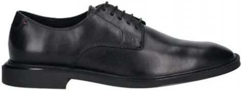 Hugo Gryff Derb Schoen