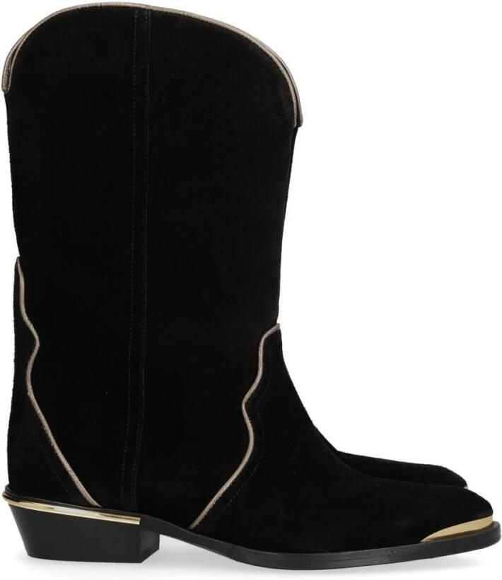 Isabel Marant Elbini Suede Cowboy Laarzen