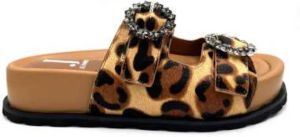 Jeannot Flat Sandals Bruin Dames