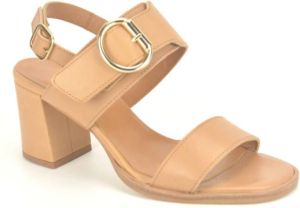 Jhay Sandals 2B-Gesp 5cm Bruin Dames