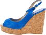 Jimmy Choo Pre-owned Suede sandals Blue Dames - Thumbnail 1