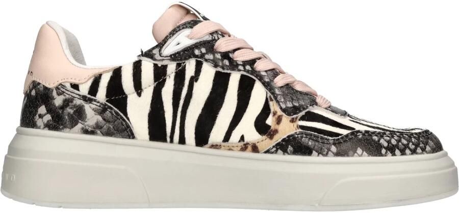 John Richmond Sneakers Multikleur