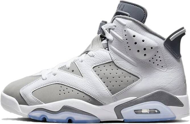 Jordan Cool Grey 6 Sneakers