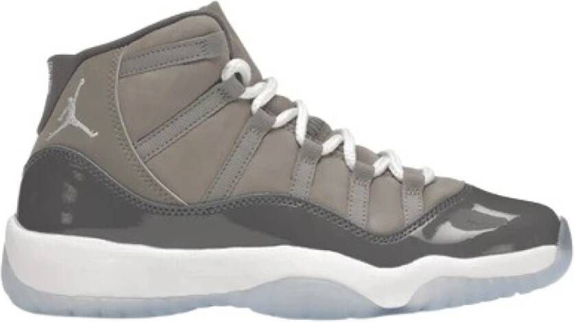 Jordan Cool Grey Retro Sneakers Gray Dames