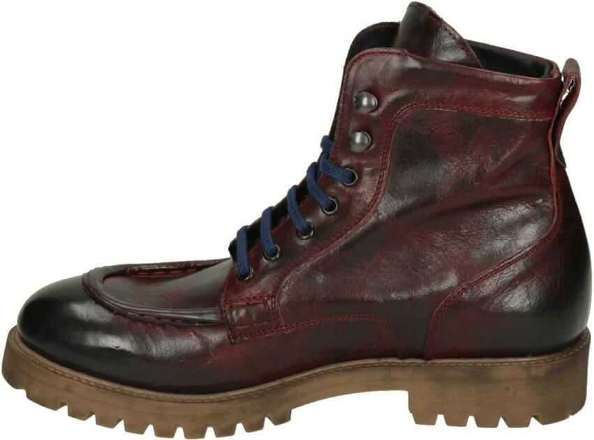 JP David 37340 Veterlaars