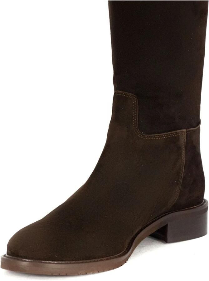 Julie Dee Hoge Laars