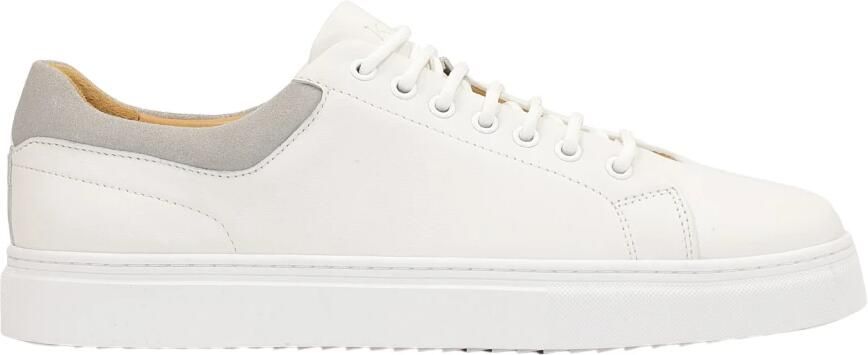 Kazar White sneakers with grey heel counter