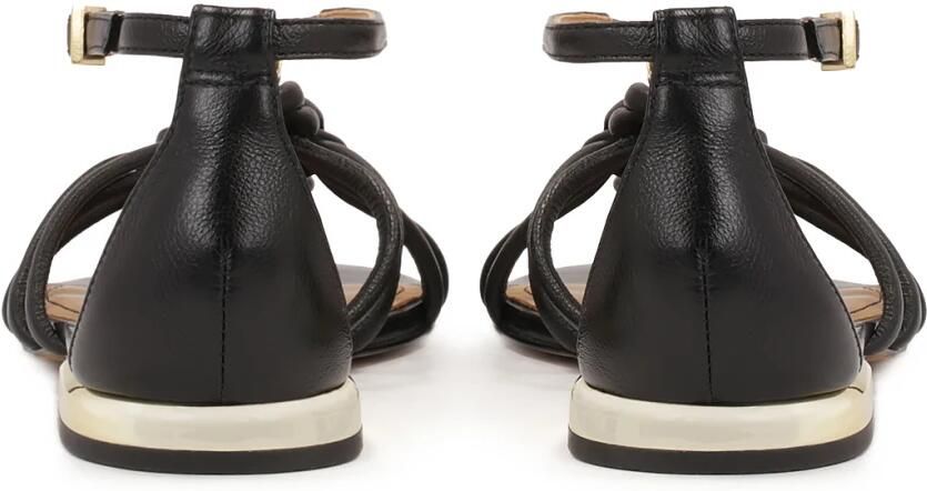 Kazar Zwarte sandalen met gouden hak Zwarte sandalen met gouden hak Zwarte sandalen met gouden hak Zwarte sandalen met gouden hak Zwarte sandalen met gouden hak Zwarte sandalen met gouden hak Zwarte sandalen met gouden hak