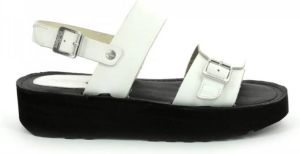 Kickers Kick Highlight Shoes Wit Dames