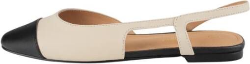 L37 Ballerina`s