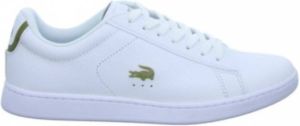 Lacoste Carnaby Evo 0120 1 SFA Dames Sneakers White