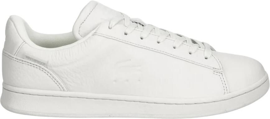 Lacoste Carnaby Shield