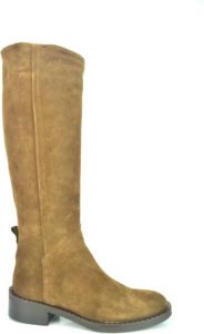 Lamica Schoenen Bruin Dames
