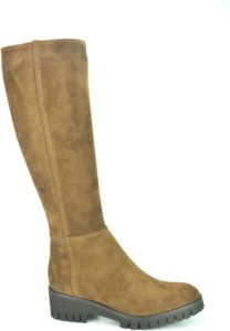 Lamica Schoenen Bruin Dames