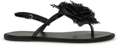 Le Silla Bos Taurus Flat Sandals