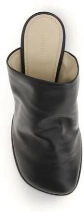 Lemaire Lamb Ovis Aries Muiltjes - Foto 2