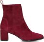 LINA LOCCHI Enkellaarsjes Dames 8543 Maat: 38 Materiaal: Suède Kleur: Rood - Thumbnail 3