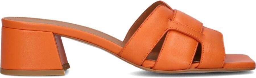 LINA LOCCHI Muiltjes Dames L1398 Maat: 38 Materiaal: Leer Kleur: Oranje