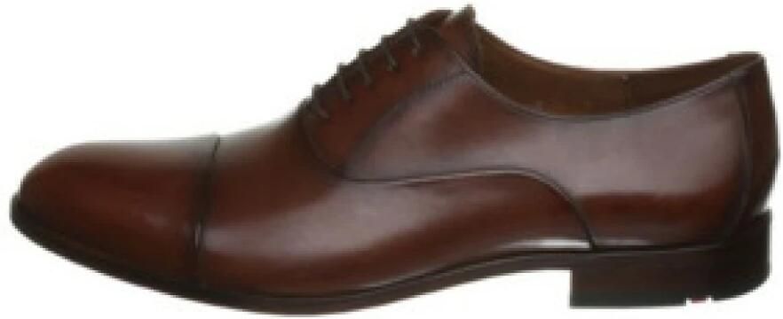 Lloyd Bruine Heren Business Veterschoenen