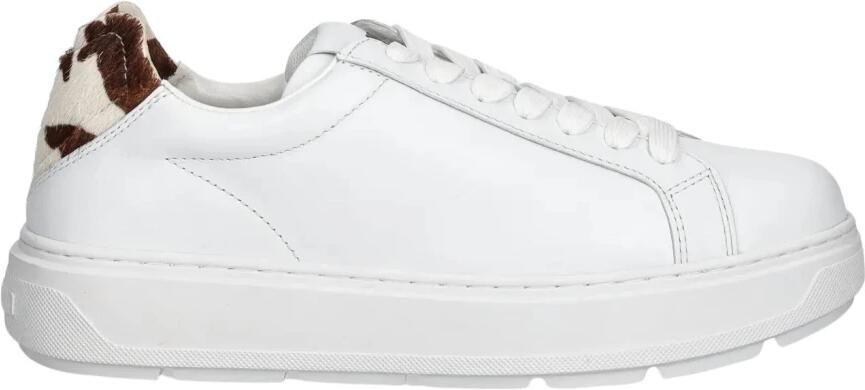 Love Moschino Schoenen > Sneakers