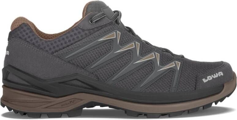 Lowa GTX LO Veterschoenen