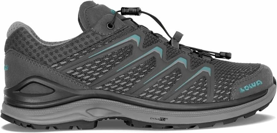 Lowa Women's Meadow GTX LO SL Multisportschoenen grijs