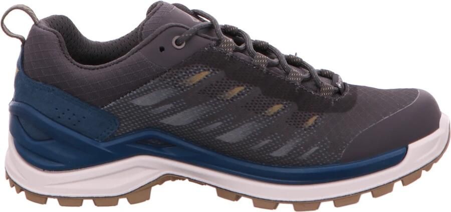 Lowa Women's Ferrox GTX Lo Multisportschoenen grijs