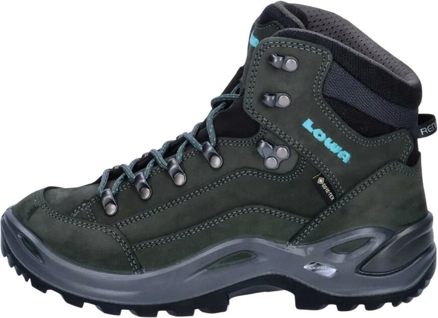 Lowa Trekking Boots