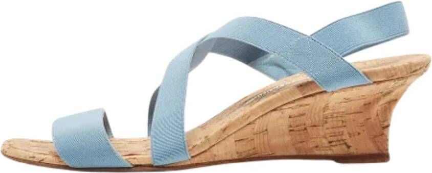 Manolo Blahnik Pre-owned Fabric sandals Blue Dames