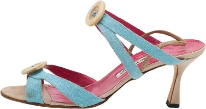 Manolo Blahnik Pre-owned Sandalen Blue Dames