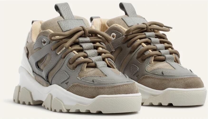 Mason Gar ts Multicolore Grijze Schoen