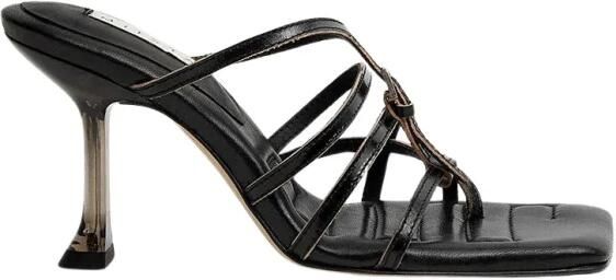 Miista Koya Mule