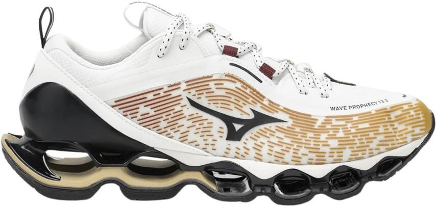 Mizuno Wave Prophecy 13.2