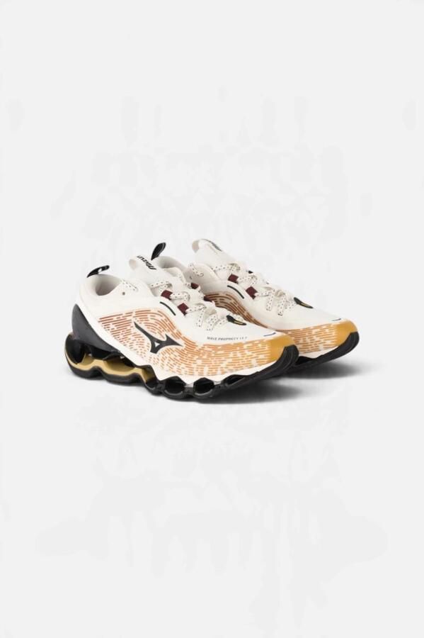 Mizuno Wave Prophecy 13.2