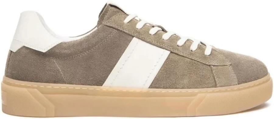 Nerogiardini 501 Sneaker