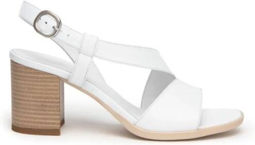 Nerogiardini Witte Sandaal E410440D707 White Dames