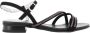 Nerogiardini Zwarte Lage Hak Sandalen voor Vrouwen Black Dames - Thumbnail 11