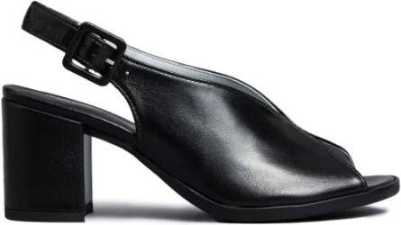 Nerogiardini Zwarte leren sandalen met gespsluiting