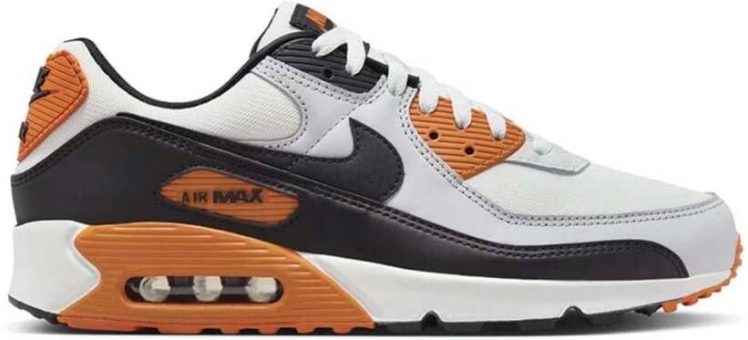 Nike Pure Platinum lage schoen met Air Max Multicolor Heren