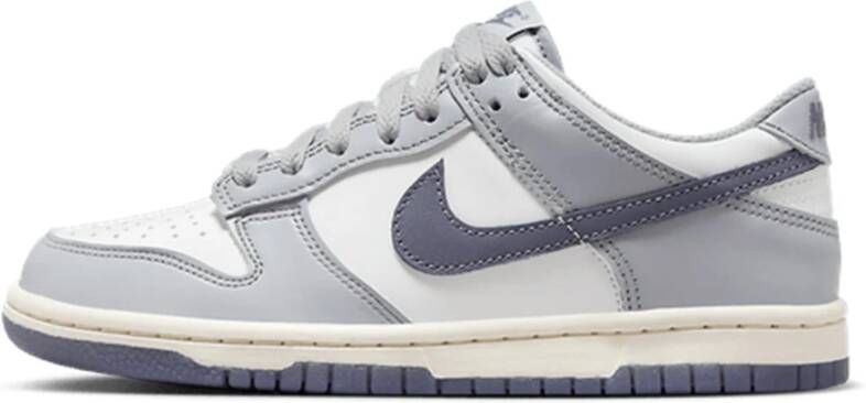 Nike Dunk Low Light Carbon Sneakers Gray Dames