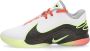 Nike Basketbalschoen Lebron Xxii Tunnel Vision Multicolor Heren - Thumbnail 1