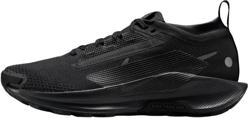 Nike Pegasus Trail 5 GORE-TEX