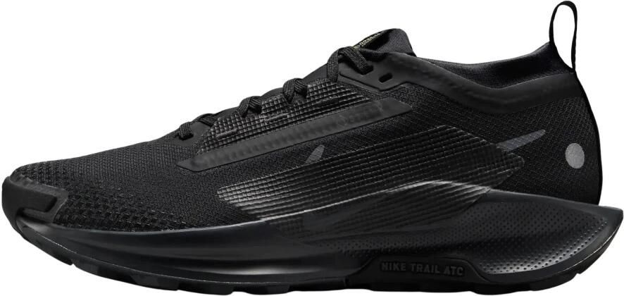 Nike Pegasus Trail 5 GORE-TEX
