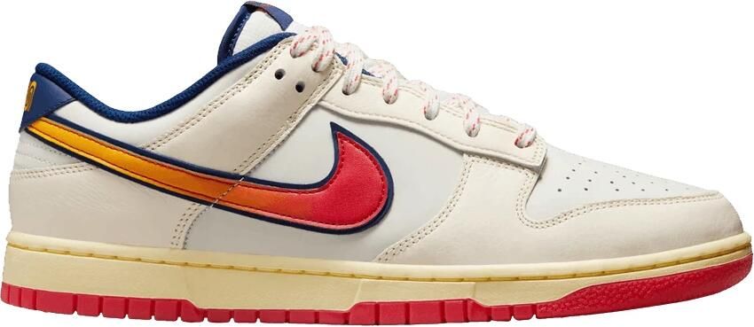 Nike Dunk Low Retro SE herenschoenen Bruin