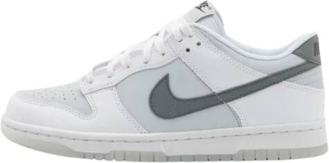 Nike Rook Lage Top Sneakers White Heren