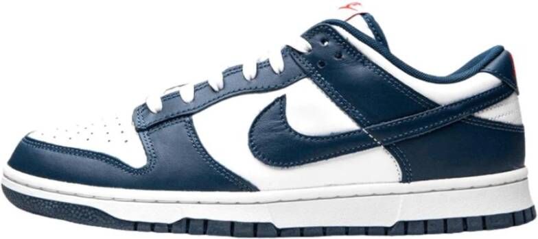 Nike Retro Dunk Low Sneakers Blauw Heren