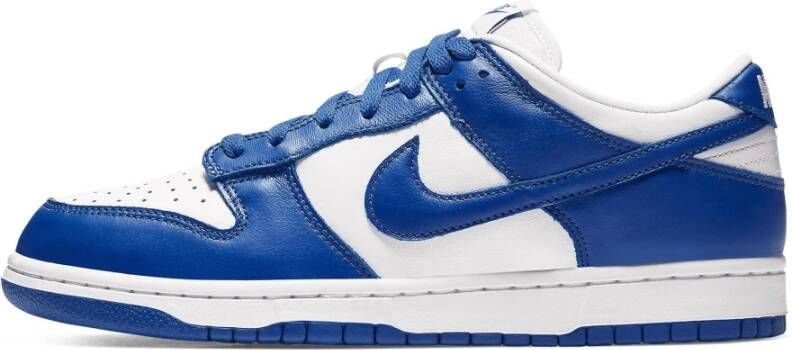 Nike Sneakers Blauw Heren