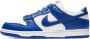 Nike Varsity Royal Sneakers Blauw - Thumbnail 1