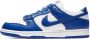 Nike Dunk Retro low-top sneakers Blauw - Thumbnail 1